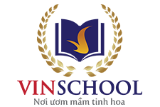 VIN SCHOOL
